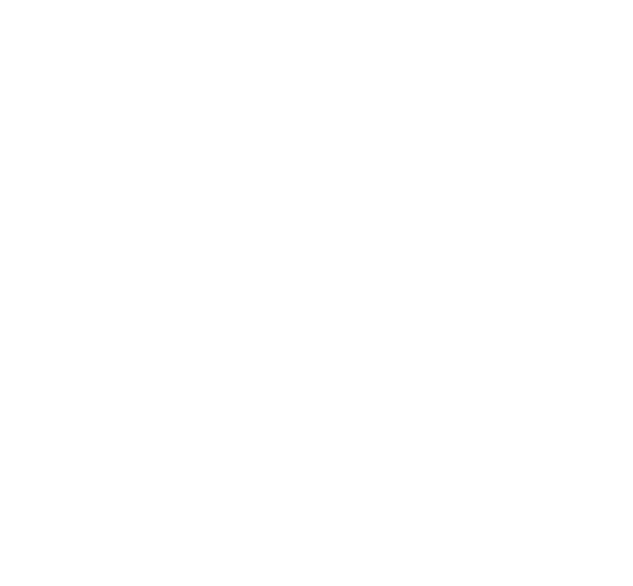 ICON: a check mark in a box in white