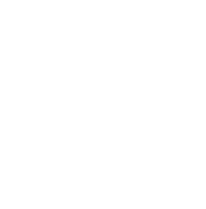 ICON: simple flat outline of a house in white